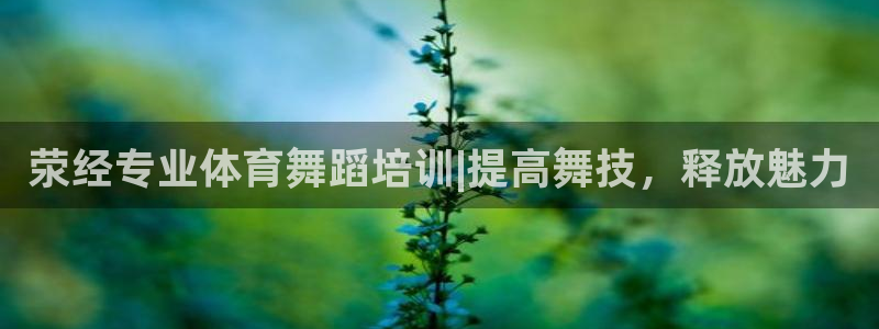 欧陆娱乐代理多少个点位可以赚钱：荥经专业体育舞蹈培训