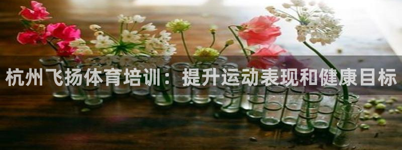 重庆欧陆娱乐有限公司怎么样：杭州飞扬体育培训：提升运