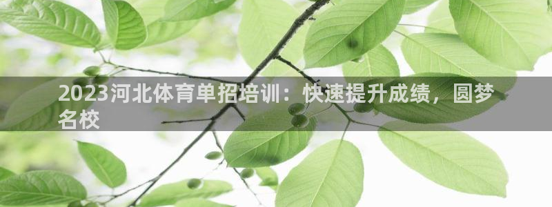 重庆欧陆娱乐有限公司地址：2023河北体育单招培训：快速提升